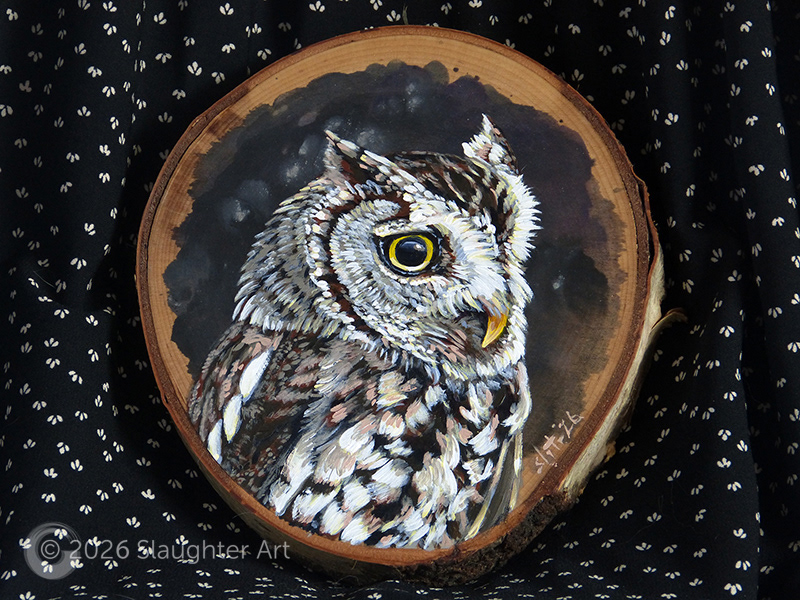 Screech Owl About 8"x9" - $150