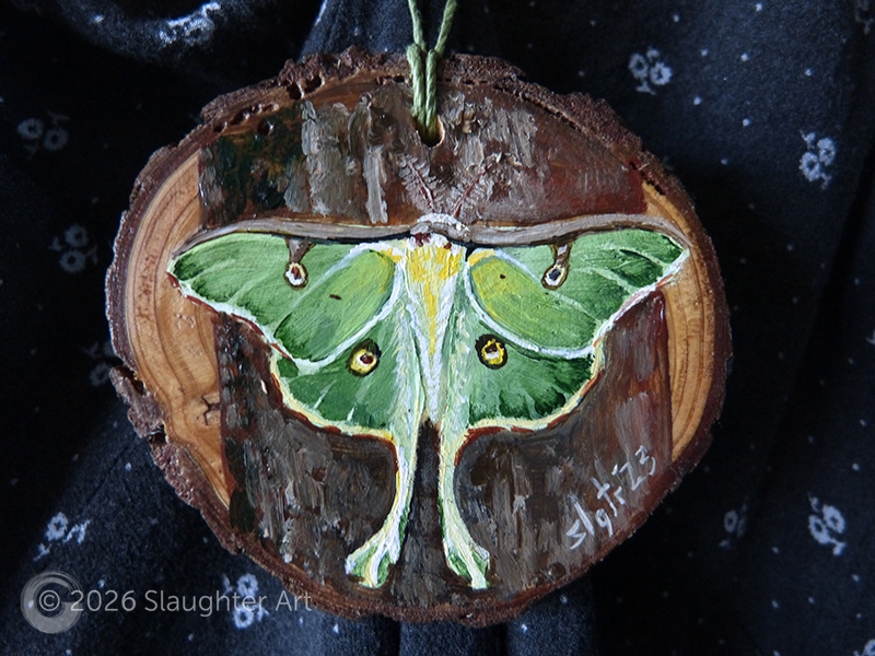  Luna Moth About 3"x3" - $35