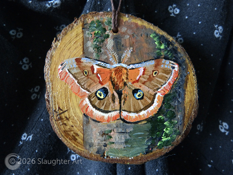Polyphemus Moth About 3"x3" - $35