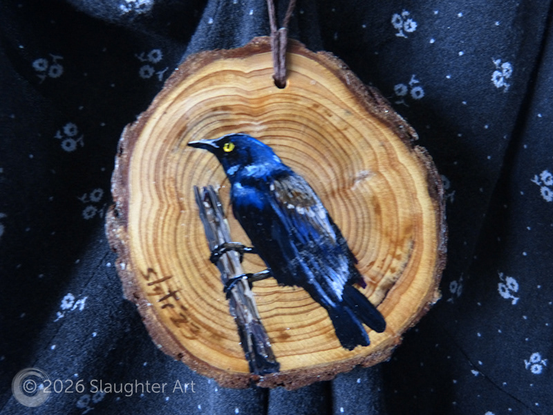 Grackle About 3"x3" - $35