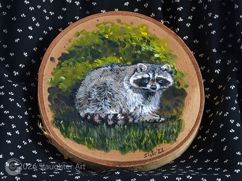 Raccoon About 8"x7" - $150