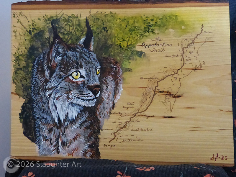 Bobcat with Map of the Appalachian Trail About 14"x12" - $230
