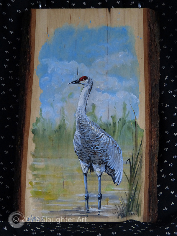 Sandhill Crane About 8"x12" - $150
