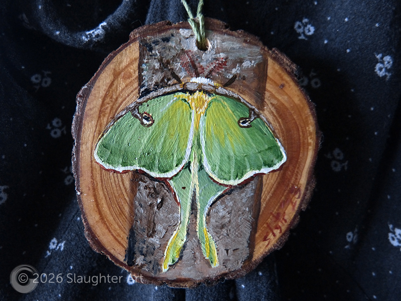  Luna Moth About 3"x3" - $35