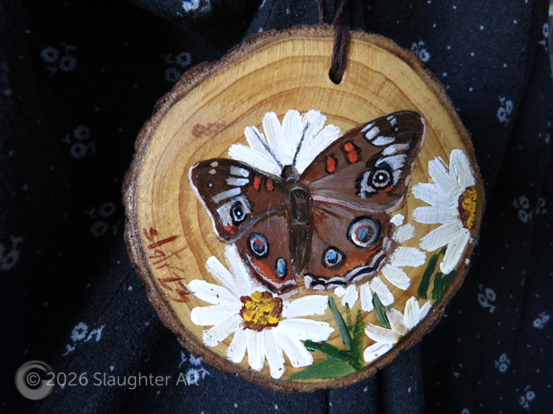  Common Buckeye Moth About 3"x3" - $35