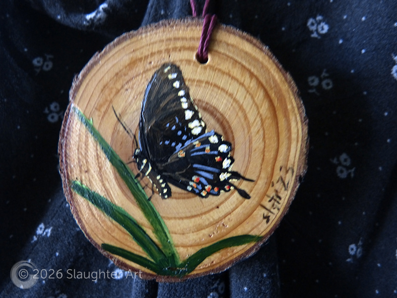 Pipevine Swallowtail Butterfly About 3"x3" - $35