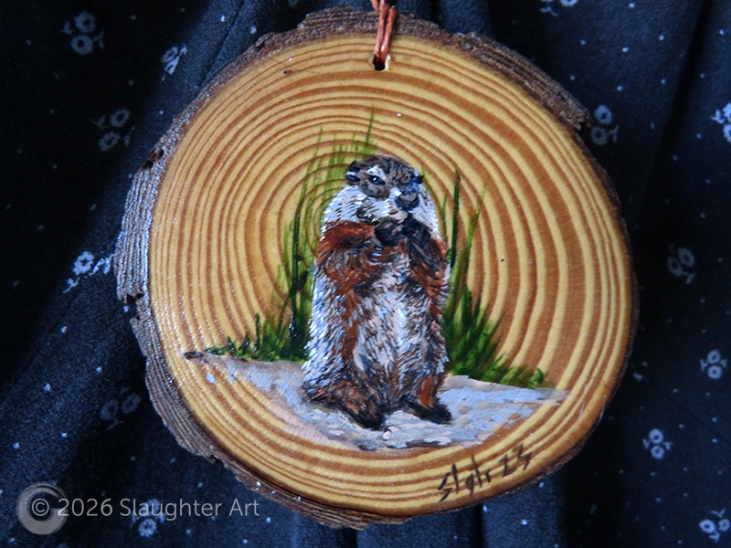 Groundhog About 3"x3" - $35