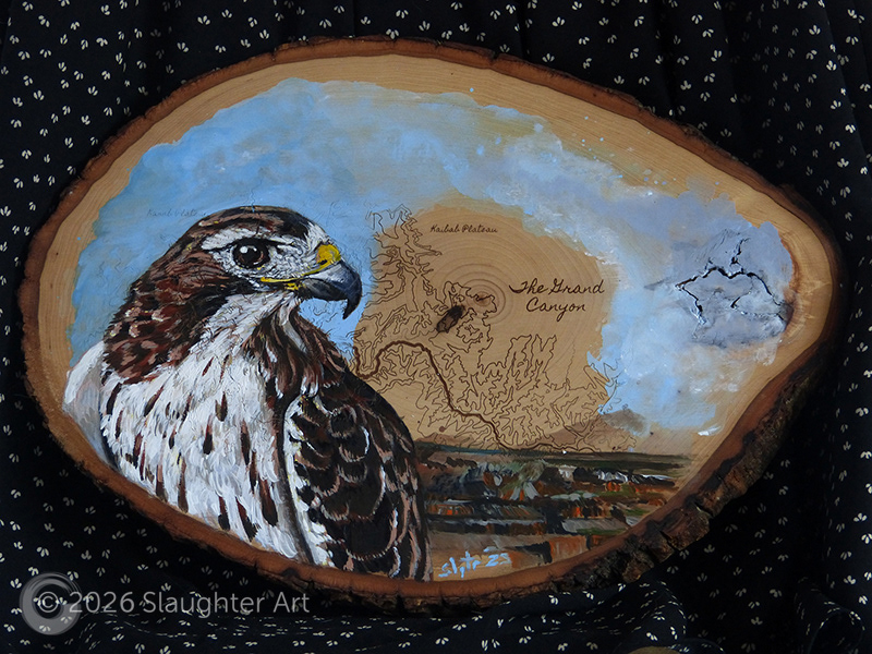 Red Tailed Hawk with Map of the Grand Canyon National Park About 16"x14" - $230