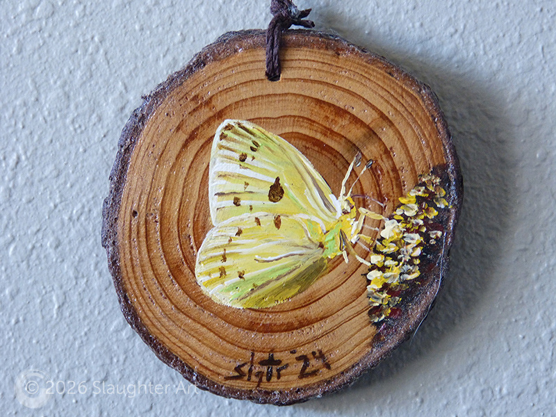  Clouded Sulphur Butterfly About 3"x3" - $35
