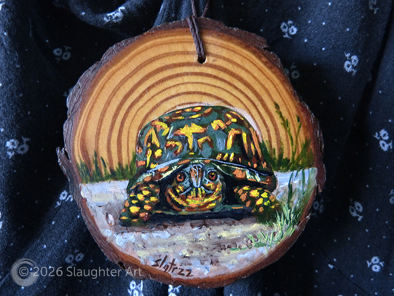 Box Turtle About 3"x3" - $35