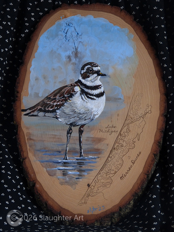 Killdeer with Map of Warren Dunes State Park About 14"x18" - $230