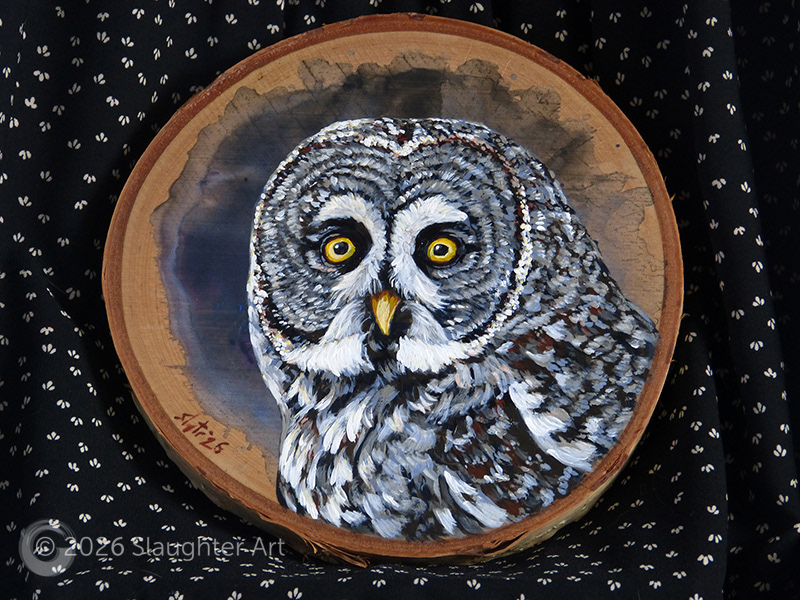  Great Gray Owl About 8"x8" - $150