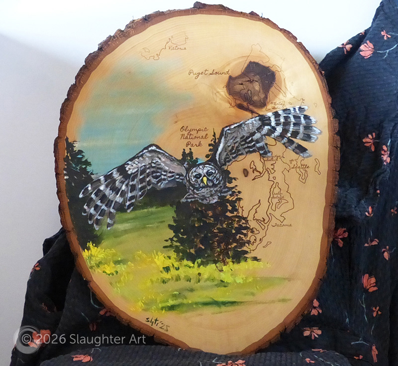 Barred Owl with Map of Olympic National Park  About 14"x16" - $230