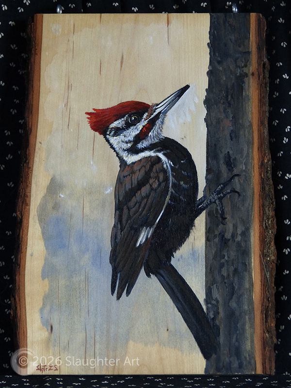  Pileated Woodpecker About 3"x3" - $35