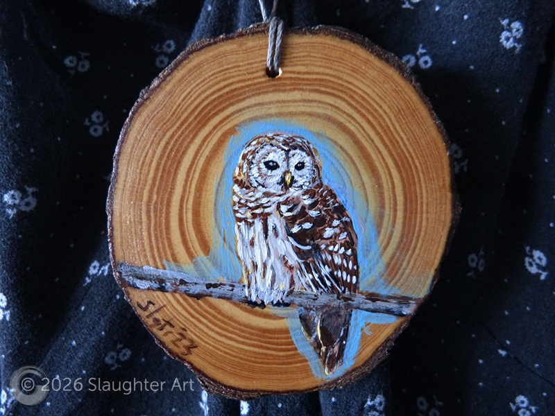 Barred Owl About 3"x3" - $35
