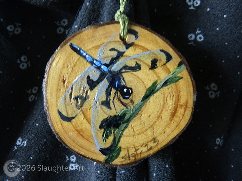 Banded Pennant Dragonfly, About 3"x3" - $35