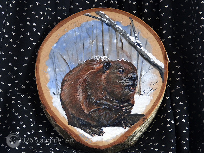 Beaver About 8"x8" - $150