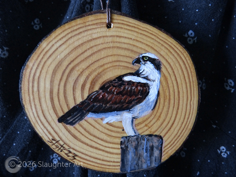 Osprey About 3"x3" - $35