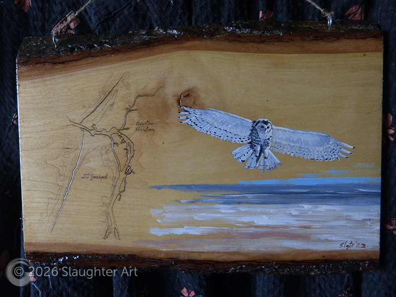 Snowy Owl with Map of St. Joseph, MI About 12"x8" - $150