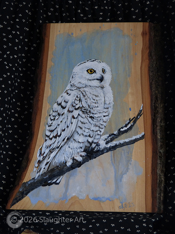 Snowy Owl About 8"x12" - $150