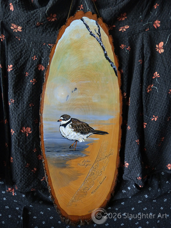  Semipalmated Plover with Map of Warren Dunes State Park About 12"x24" - $300