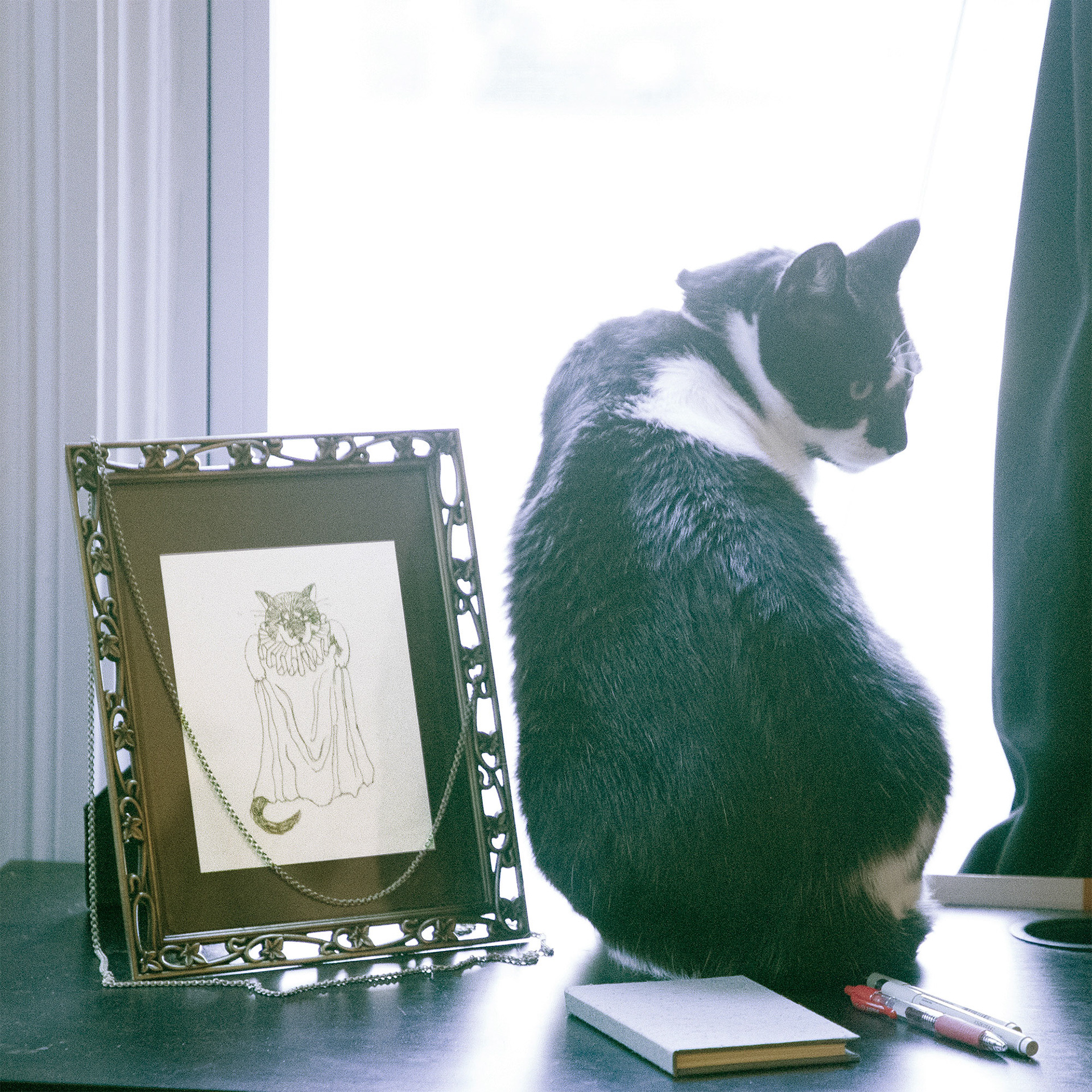 Bandersnatch waiting in the window for guests next to Esther Grover's drawing of him in a cloth gown