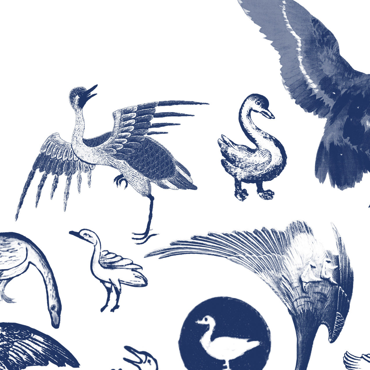 screenshot of the digital collage in progress