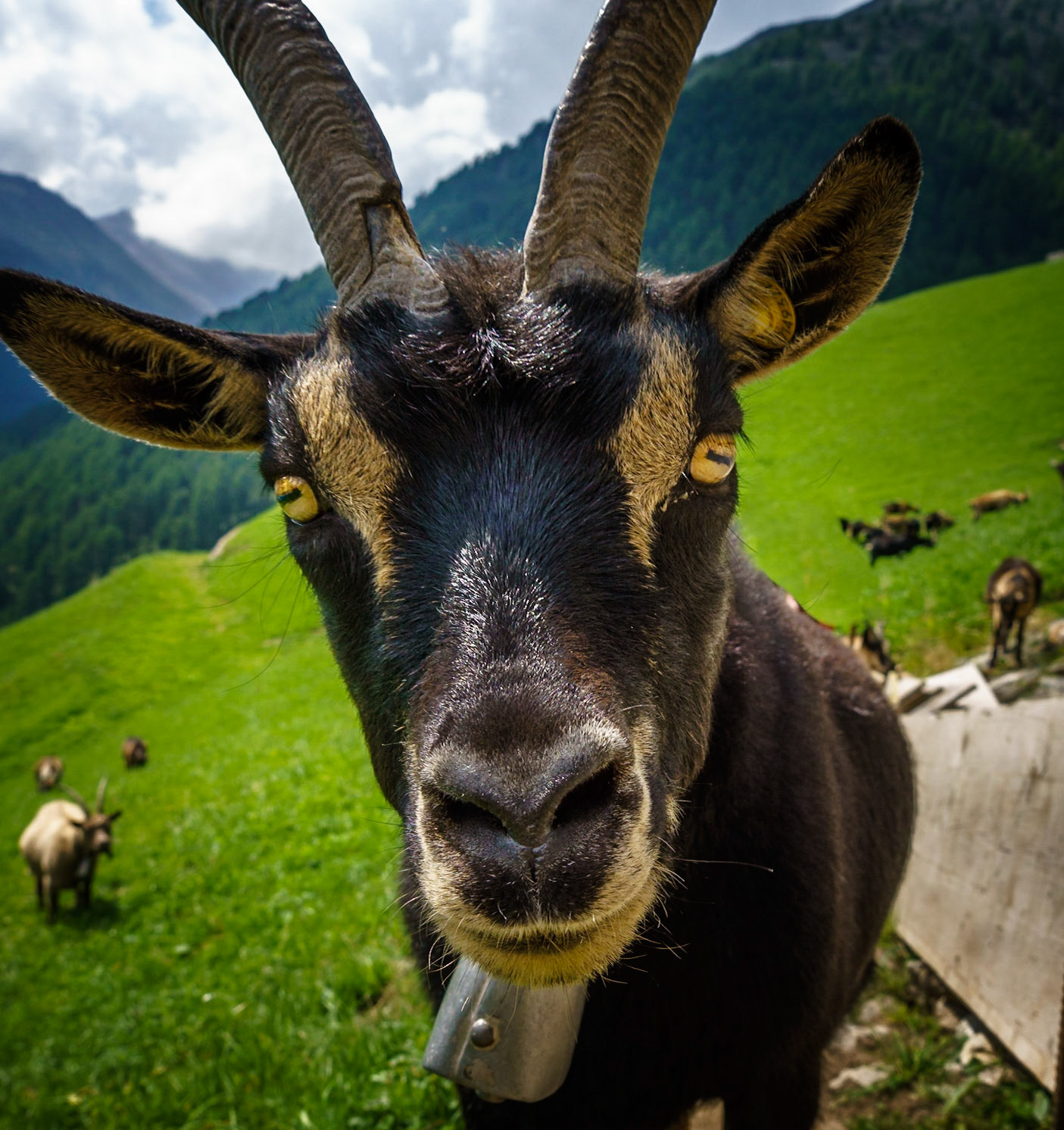 you have a nice cam! - 1/200 Sek. bei ƒ / 7,1 - ISO 100 - 24 mm