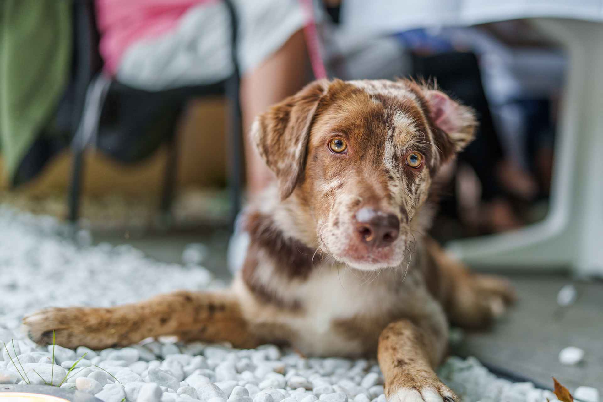 1/90 Sek. bei ƒ / 1,4; ISO 100; 35 mm