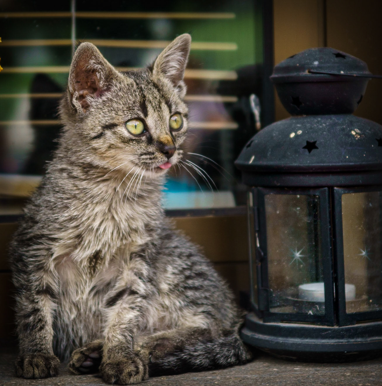 - 1/160 Sek. bei ƒ / 4,5 - ISO 200 - 75 mm