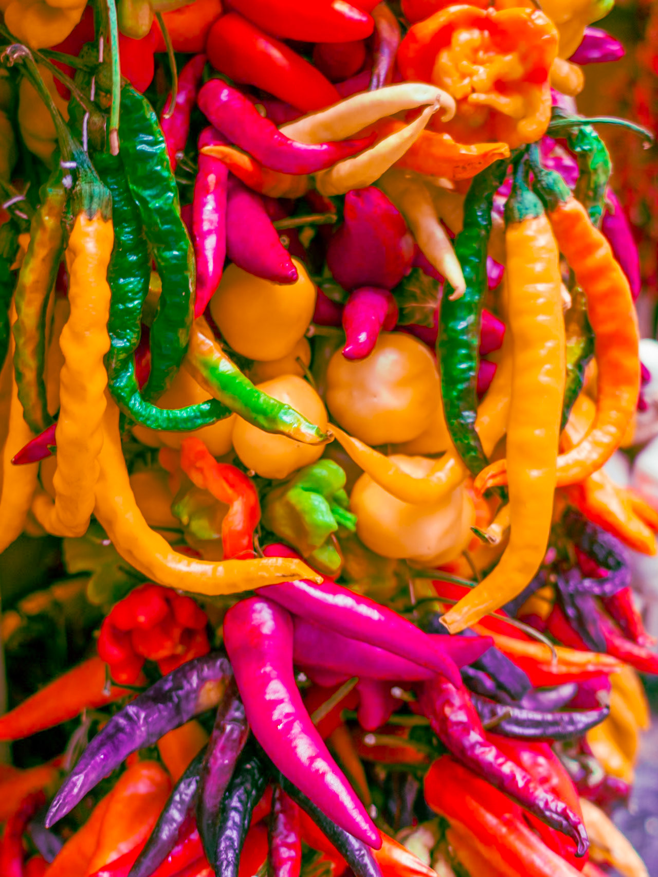 crazy color - 1/30 Sek. bei ƒ / 1,8 - ISO 160 - 24 mm