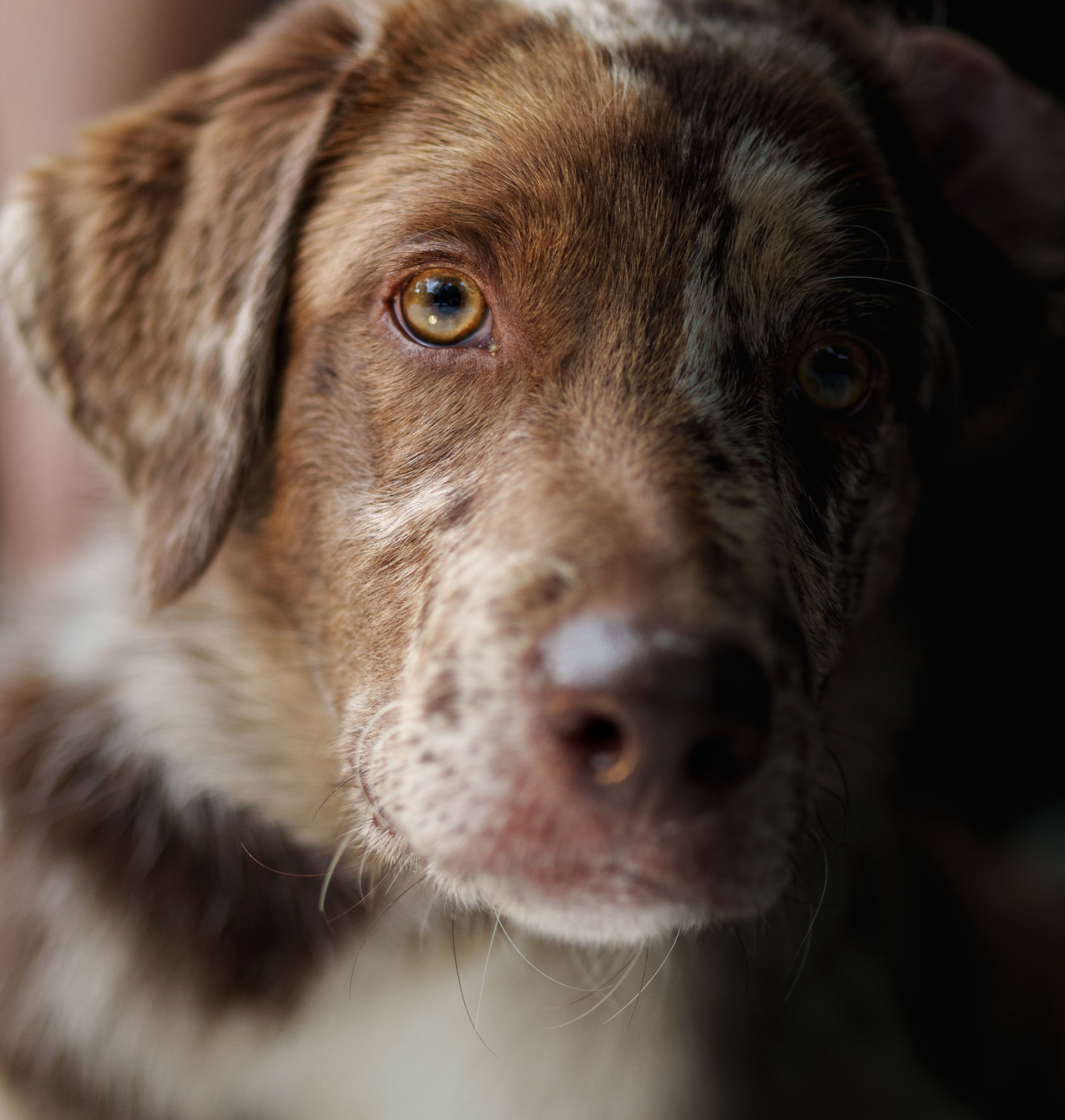 1/60 Sek. bei ƒ / 1,4; ISO 100; 35 mm