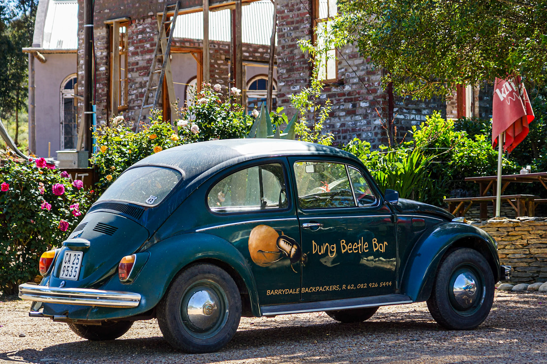 Dung Beetle - 1/250 Sek. bei ƒ / 6,3 - ISO 100 - 112 mm