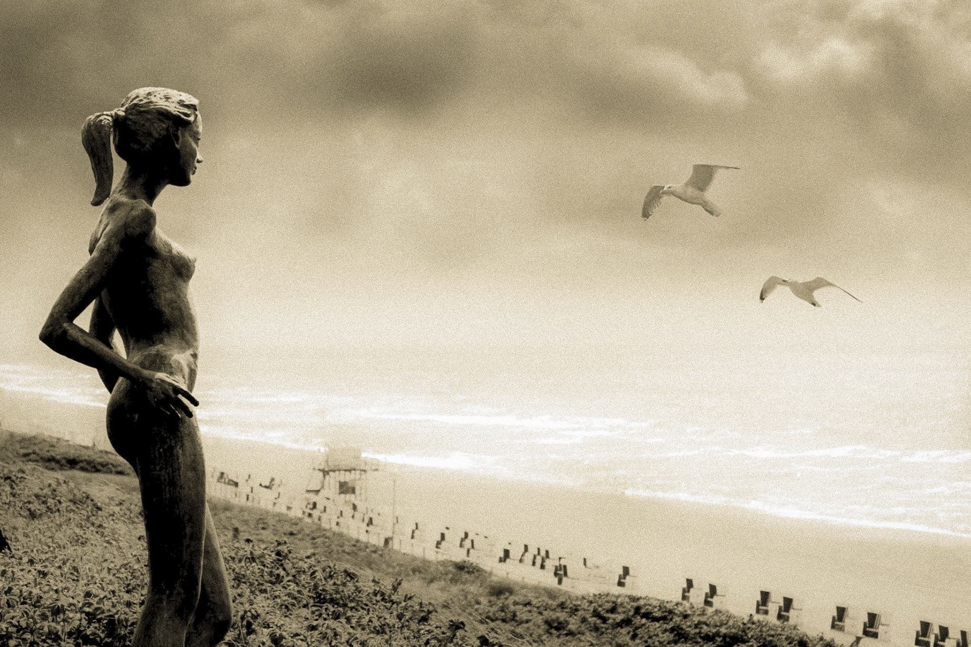 bird watching - 1/640 Sek. bei ƒ / 5,6 - ISO 100 - 60 mm