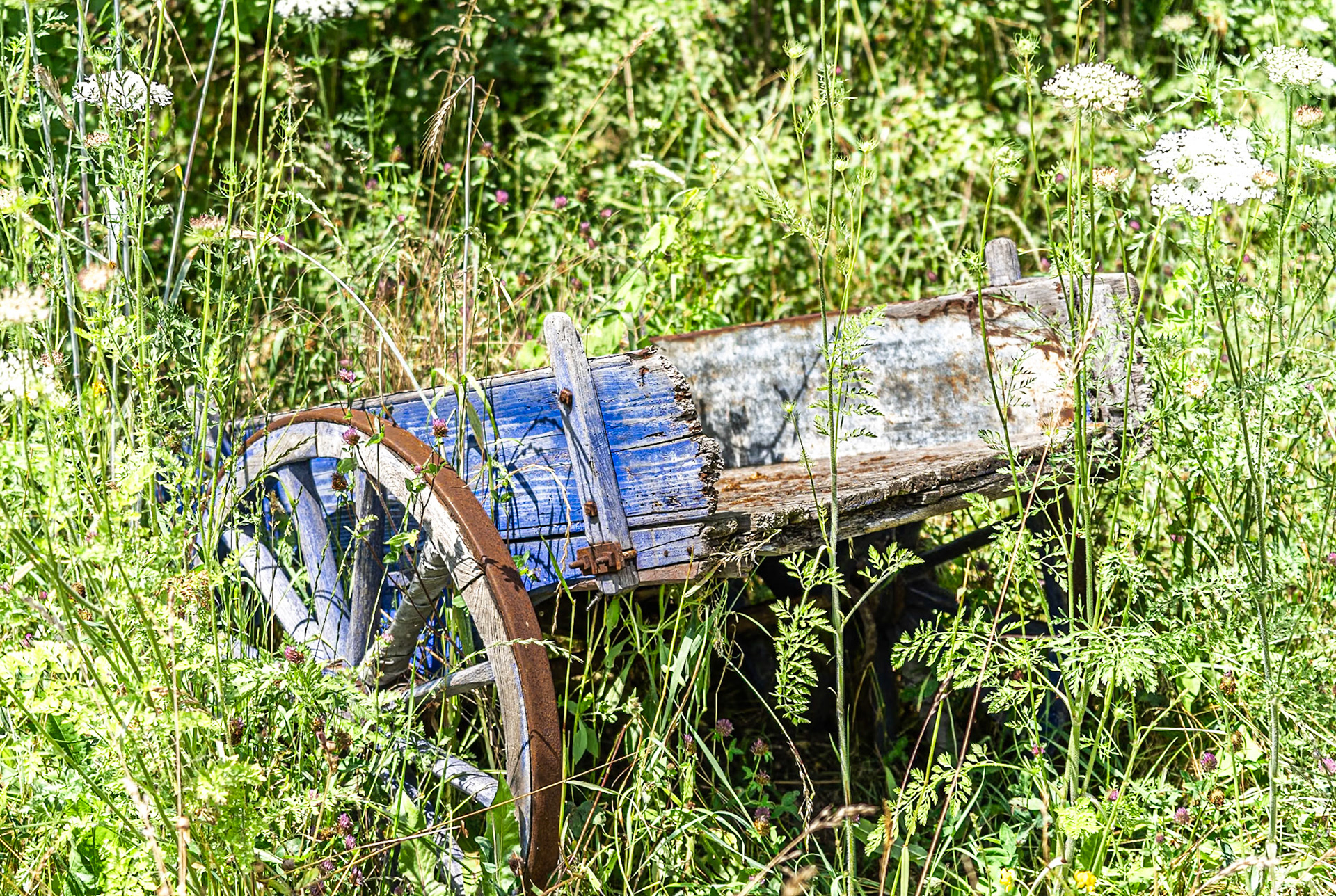 old trailer - 1/1000 Sek. bei ƒ / 4,5 - ISO 100 - 70 mm