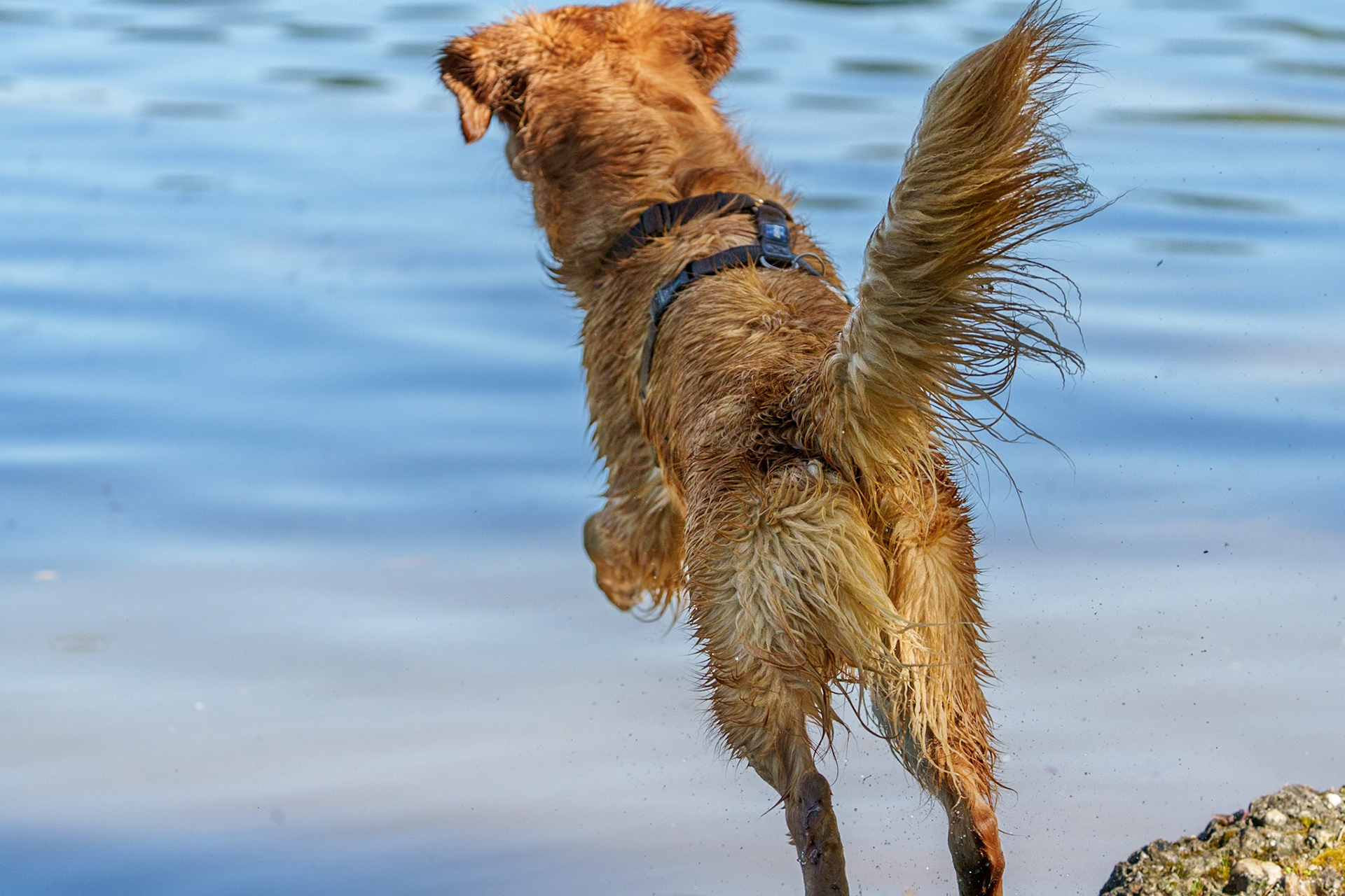 1/2000 Sek. bei ƒ / 5,6; ISO 800; 200 mm