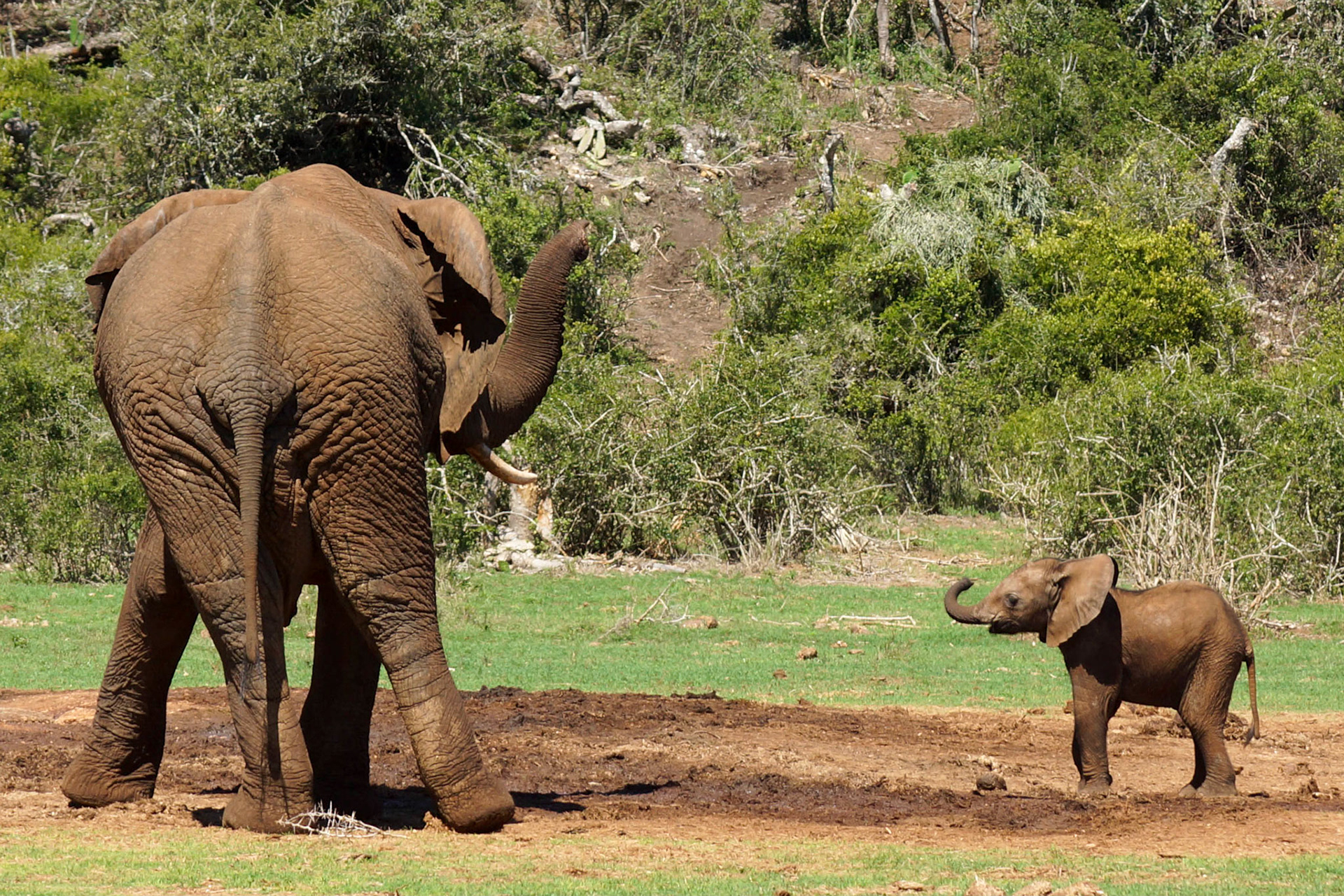 Hi dad! - 1/400 Sek. bei ƒ / 6,3 - ISO 100 - 120 mm