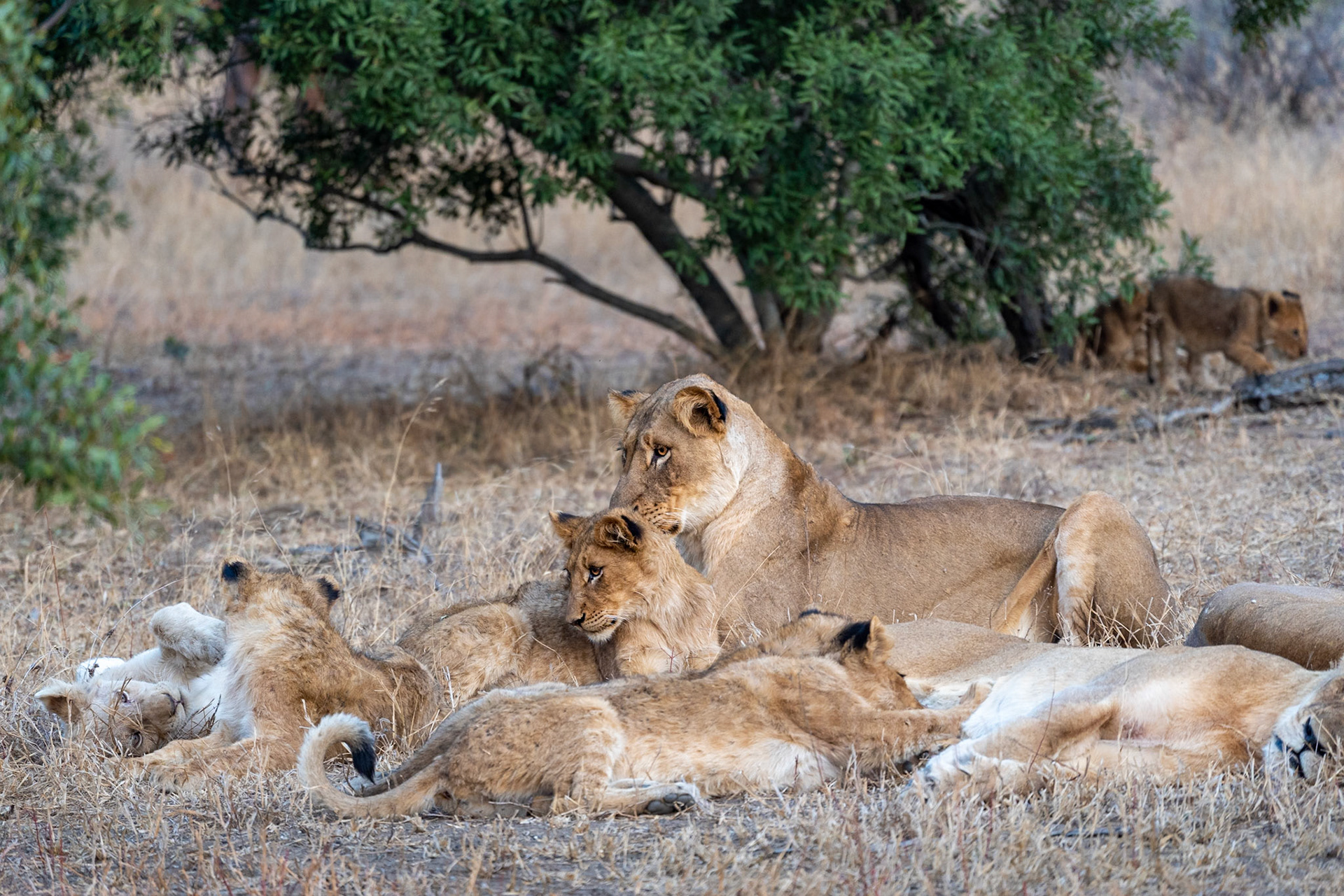 family idyll - 1/400 Sek. bei ƒ / 5,6 - ISO 1600 - 300 mm
