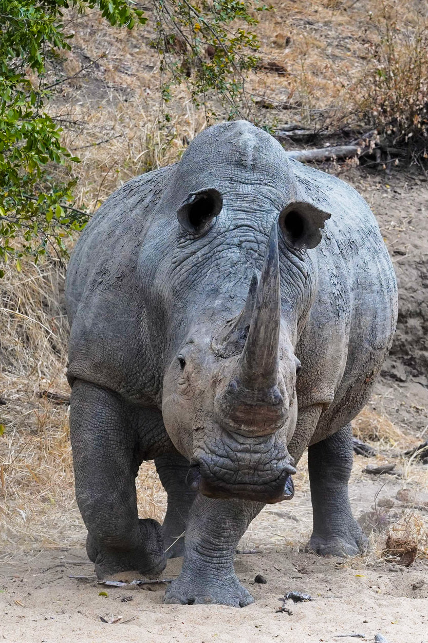 Print 1/10; 05.12.2019; K.Müller