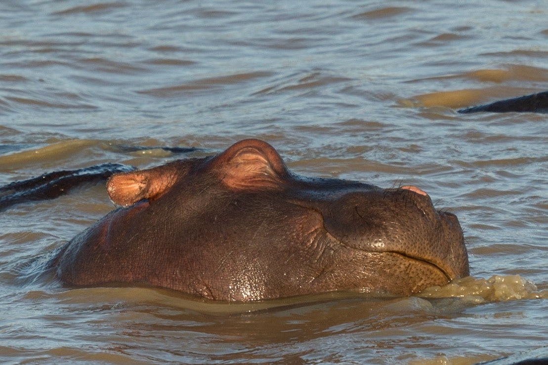 I'm dreaming of ... - 1/1500 Sek. bei ƒ / 6,7 - ISO 400 - 322 mm