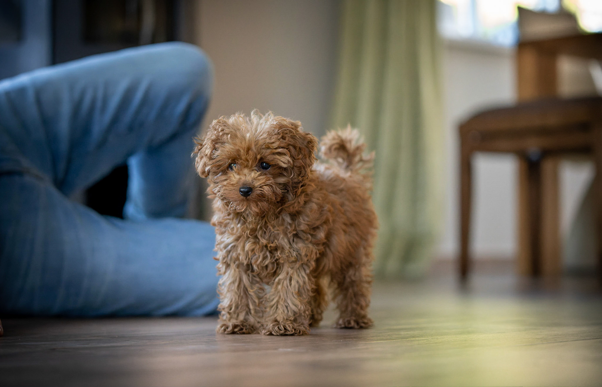 Coco 1/500 Sek. bei ƒ / 2,8; ISO 10000; 70 mm