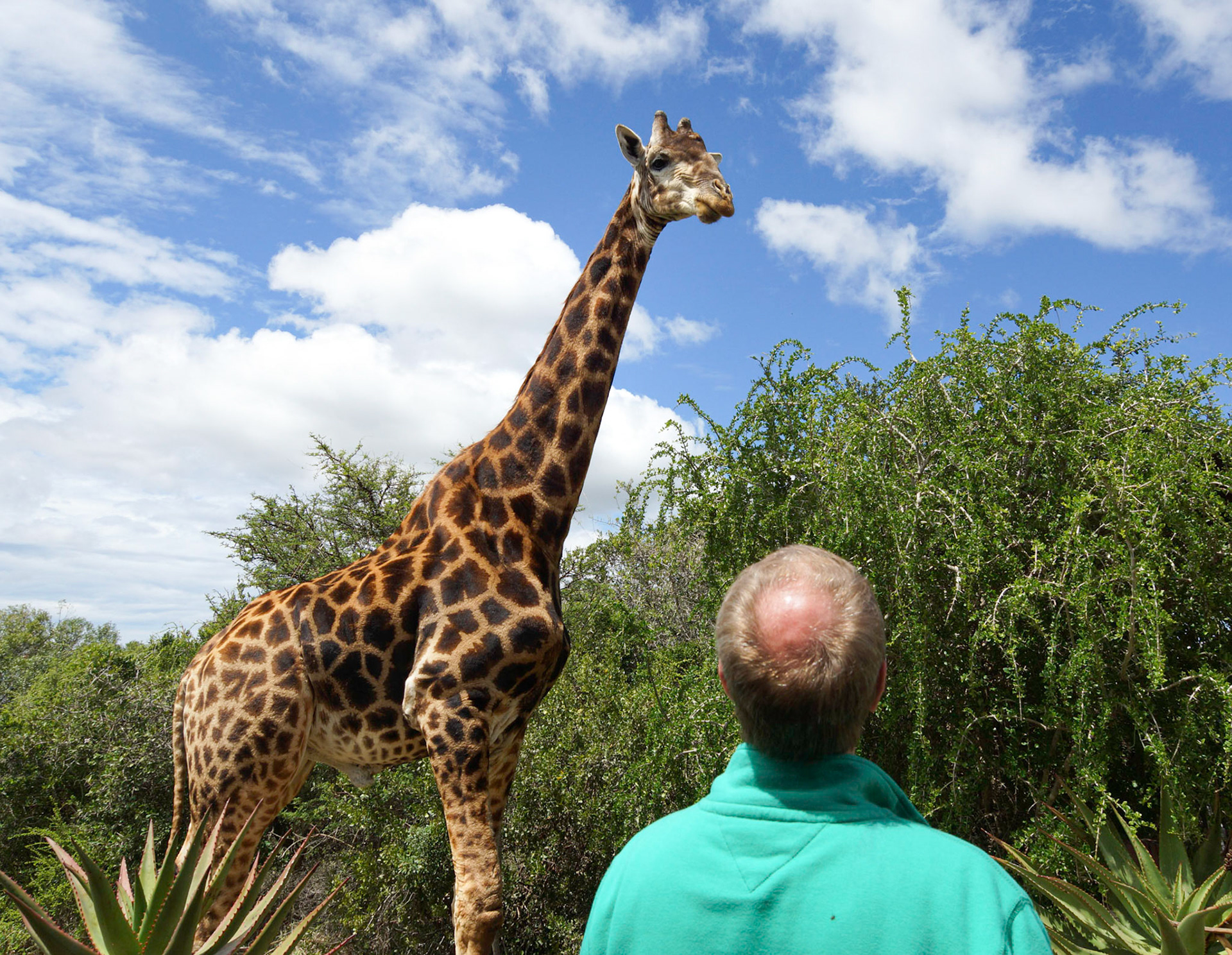 I'm watching you - 1/500 Sek. bei ƒ / 8,0 - ISO 100 - 24 mm
