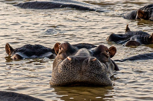 what's going on? - 1/250 Sek. bei ƒ / 4,0 - ISO 640 - 105 mm