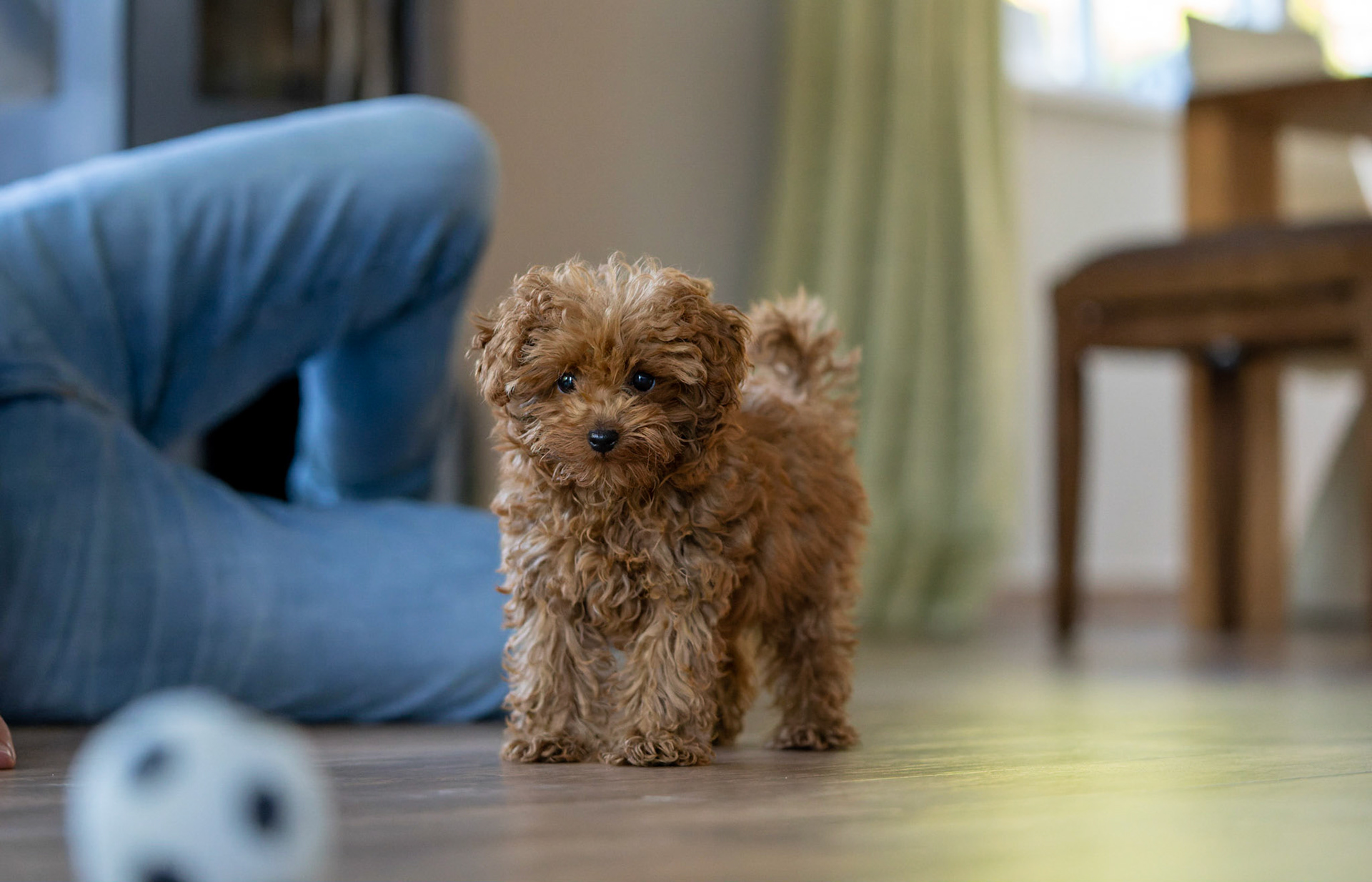 Coco 1/500 Sek. bei ƒ / 2,8; ISO 10000; 70 mm