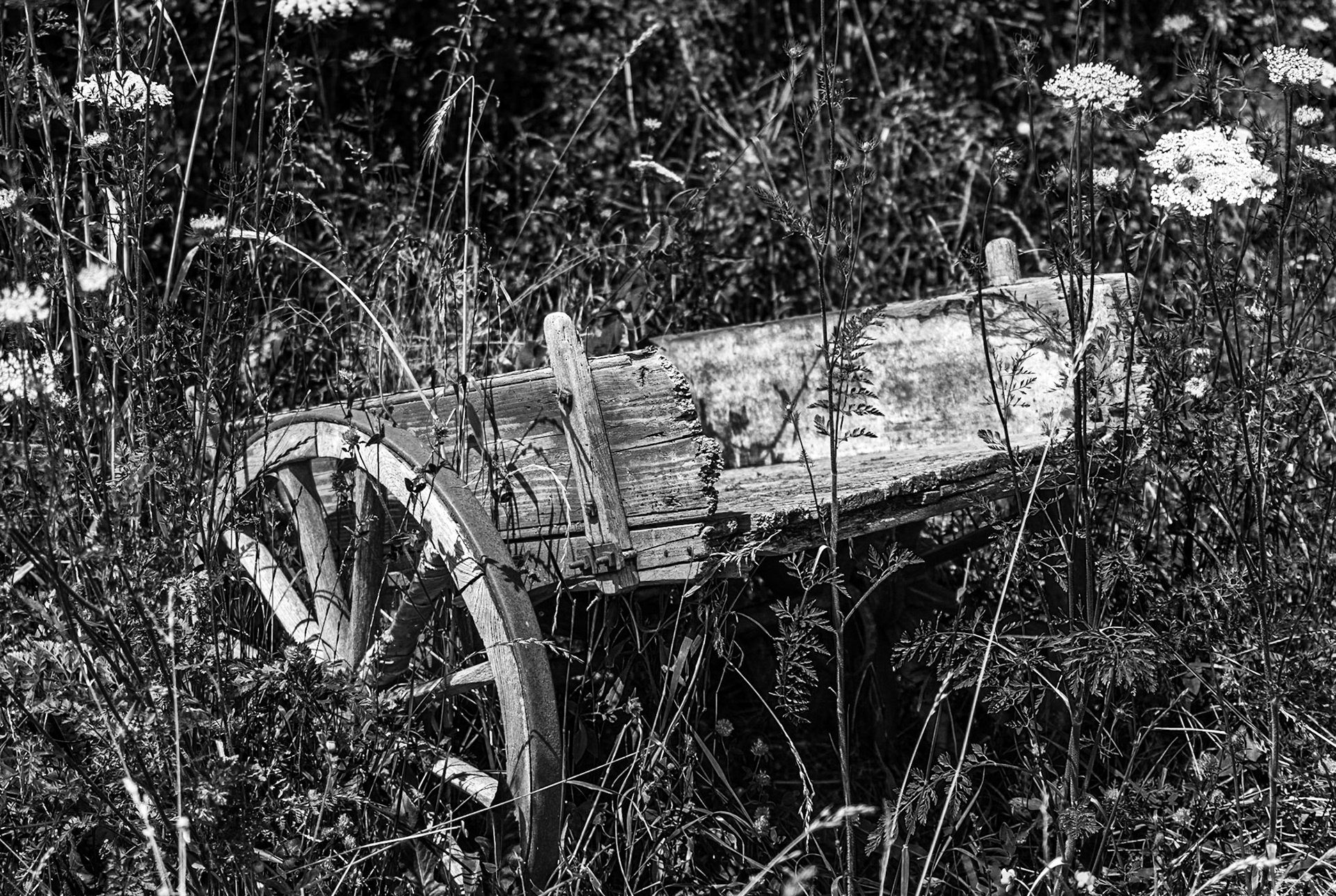 old trailer - 1/1000 Sek. bei ƒ / 4,5 - ISO 100 - 70 mm