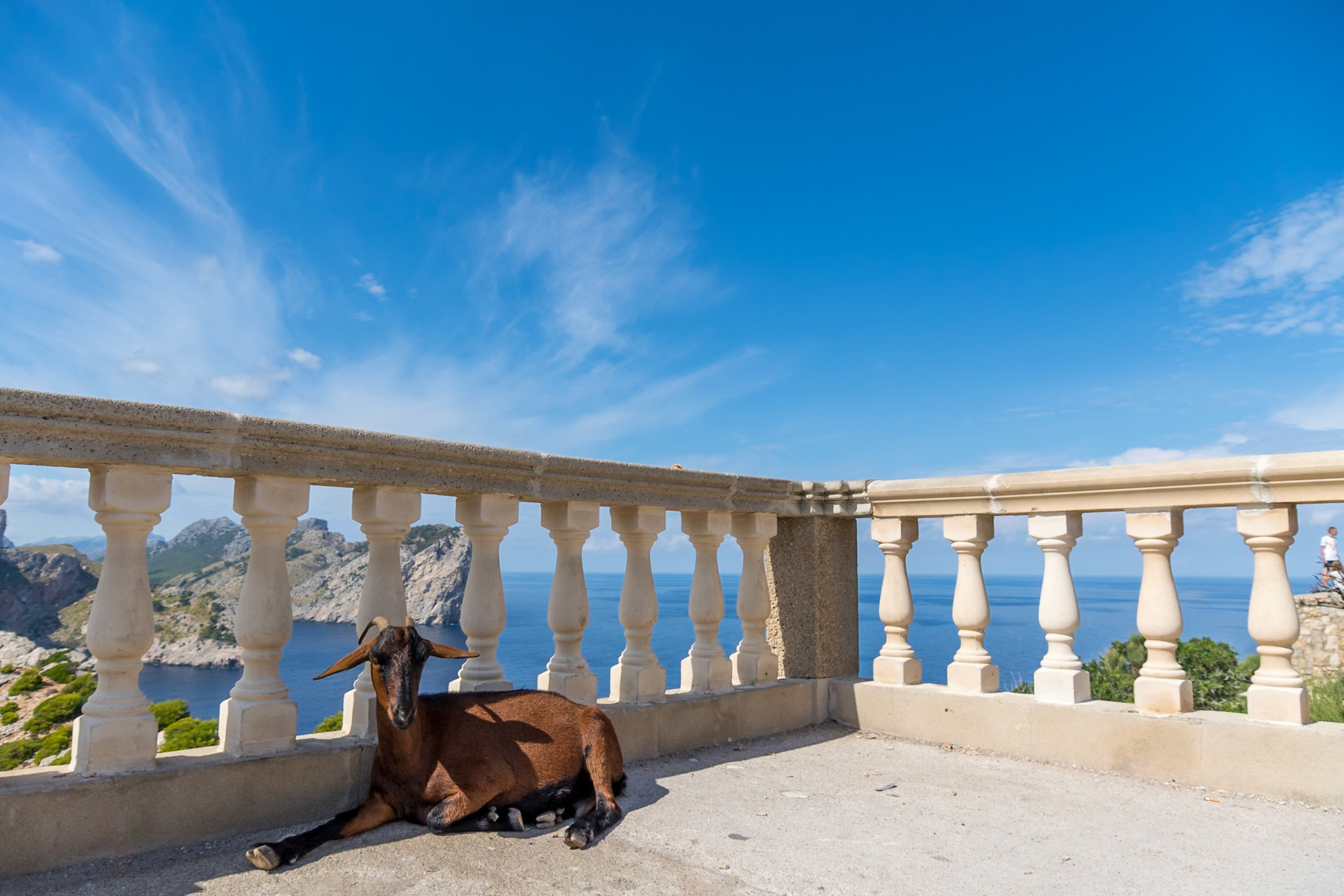 Siesta - 1/1250 Sek. bei ƒ / 5,0 - ISO 100 - 24 mm