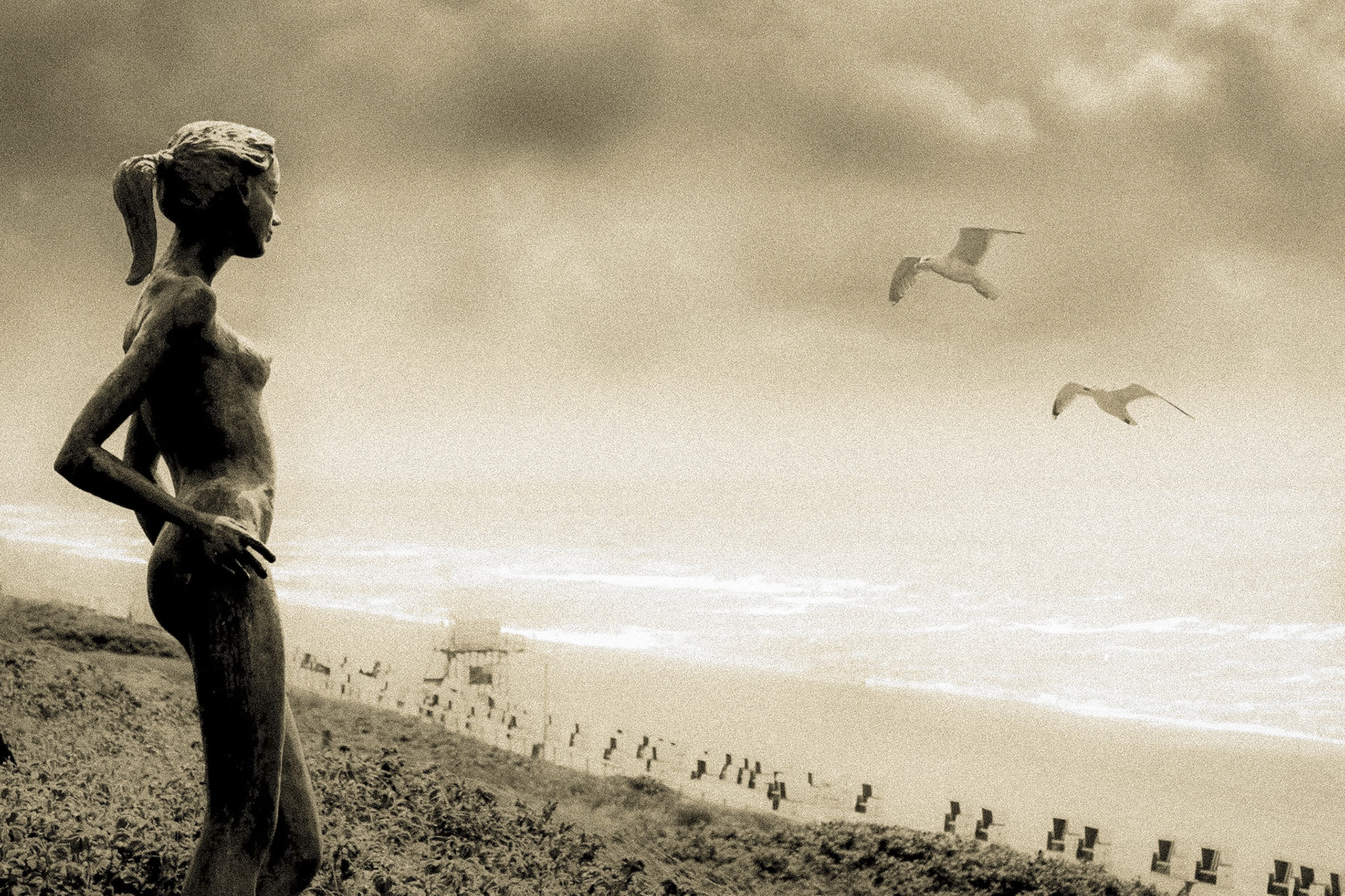 bird watching - 1/640 Sek. bei ƒ / 5,6 - ISO 100 - 60 mm