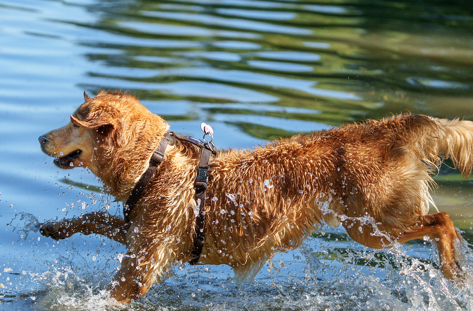 1/3000 Sek. bei ƒ / 5,6; ISO 2000; 200 mm