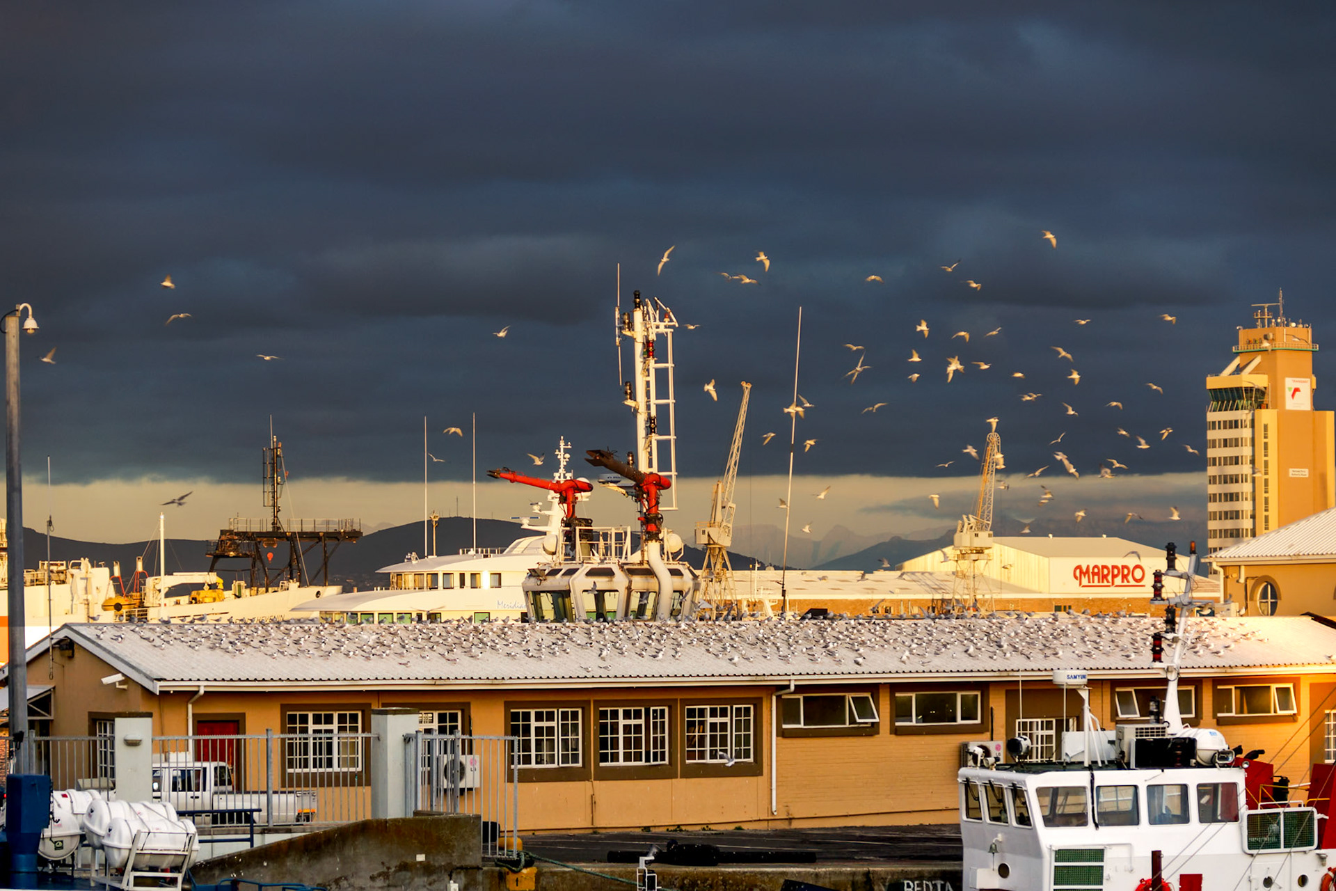 shining birds - 1/160 Sek. bei ƒ / 4,5 - ISO 125 - 120 mm