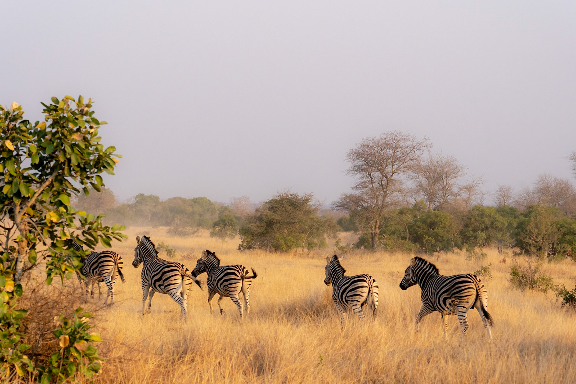 feeling free - 1/1250 Sek. bei ƒ / 8,0 - ISO 1250 - 105 mm